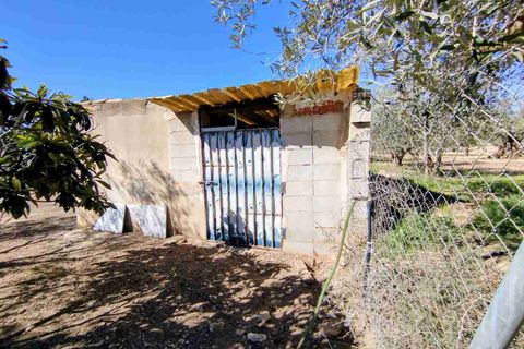 Landejendom i Caudete, Albacete, Caudete - € 149.950 | Ref: SF0574 - foto 30